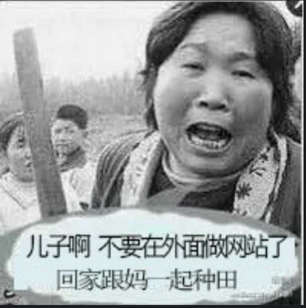 论坛版块分类  网站-达思沃