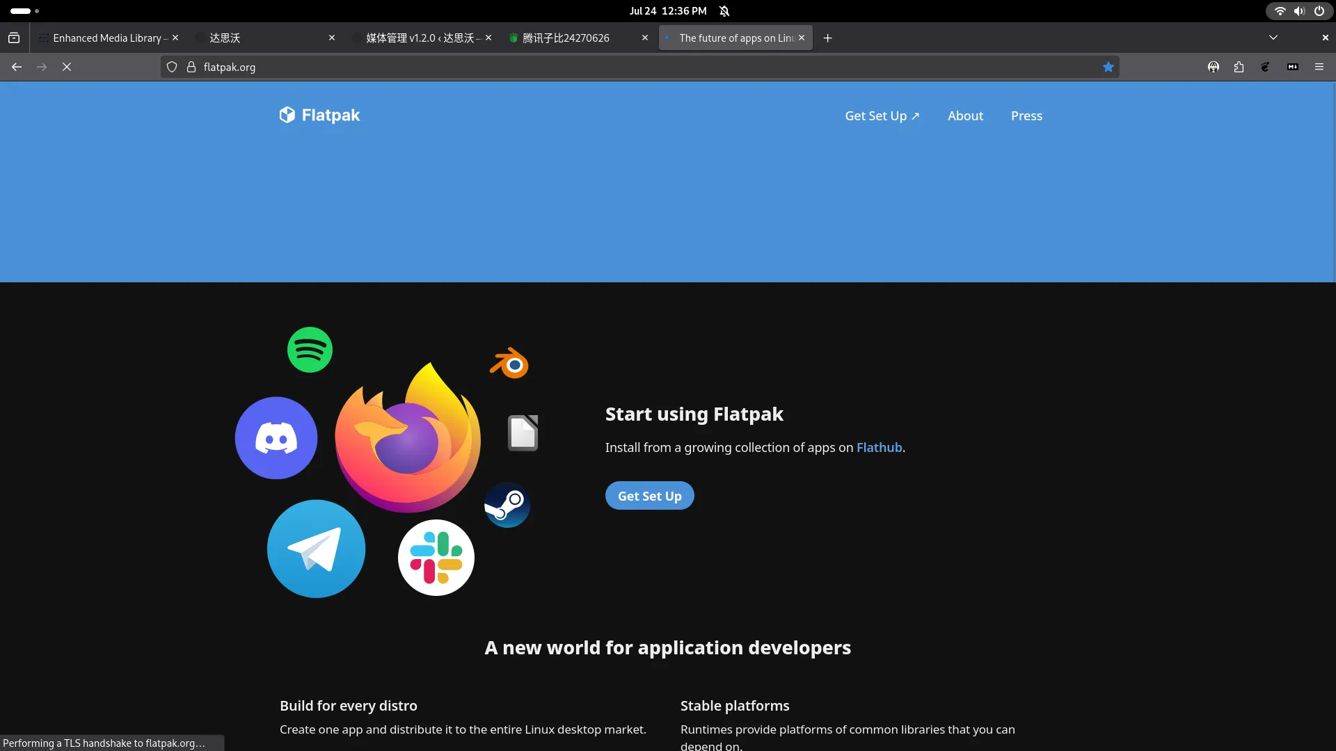 Flatpak | Linux跨发行版应用分发管理工具 - 达思沃-达思沃
