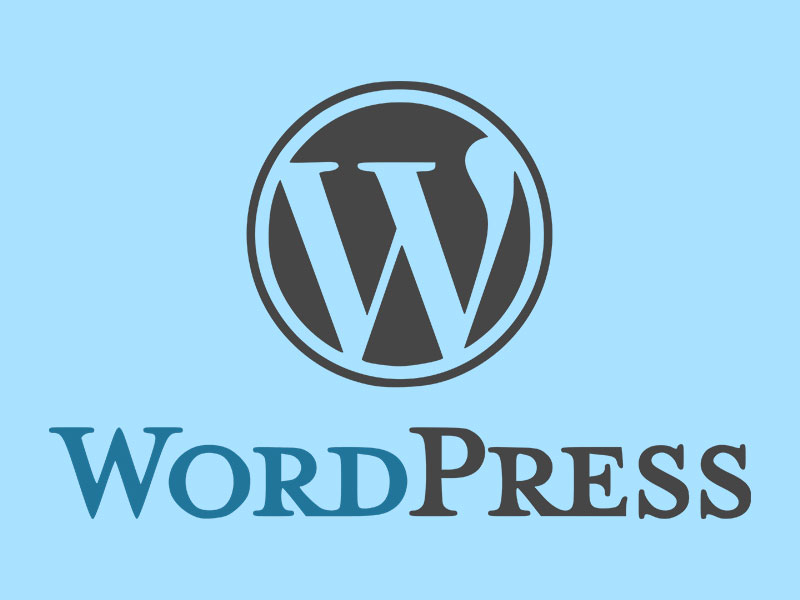 WordPress系统博客论坛独立站一条龙代搭建-达思沃