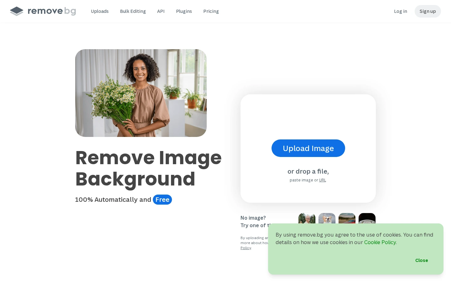 remove.bg | 免费AI智能抠图工具,一键去除图片背景